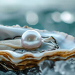 Pearl Care Homes